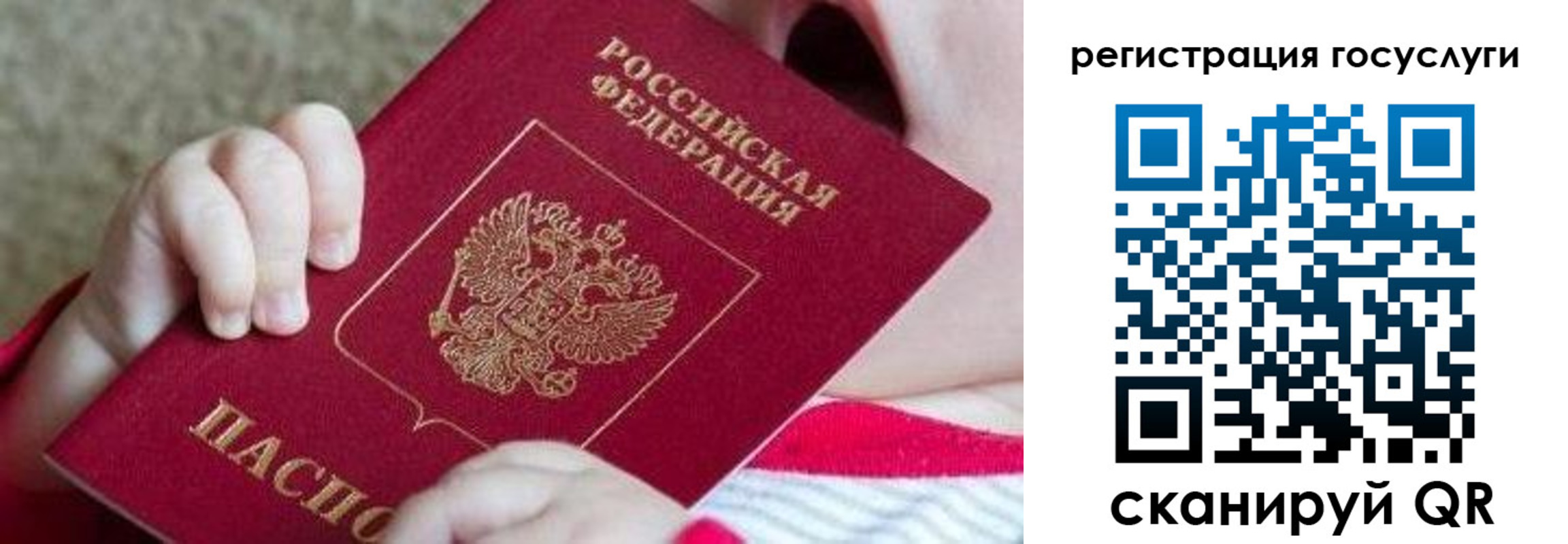 регистрация для школы в Тверской области